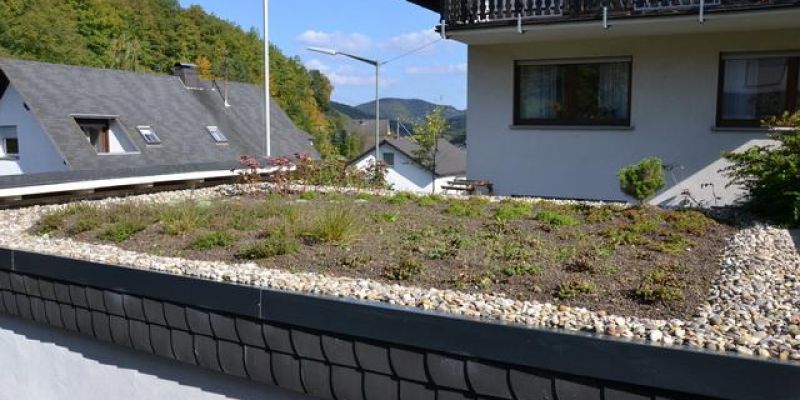 extensive-dachbegruenung67BCF0A5-12FA-3B2F-9FEC-5C7565874343.jpg