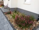 kiesbeet mit pflanzen