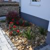 moraenenkiesbeet