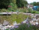 wasser im garten mg